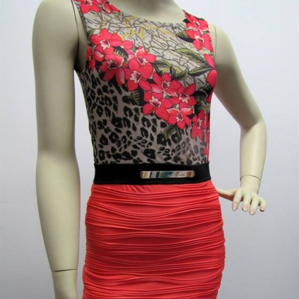 Brand New Waggon Paris Dress